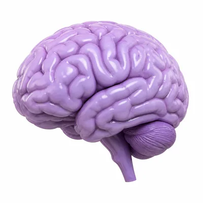 3D icon for brain hemorrhage treatment