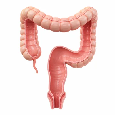 3D icon for piles treatment